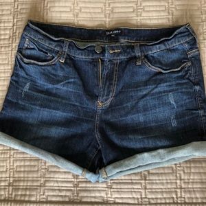 Dear John Denim Shorts - Stitch Fix purchase